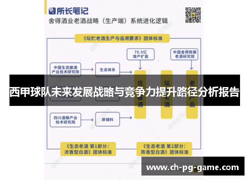 西甲球队未来发展战略与竞争力提升路径分析报告