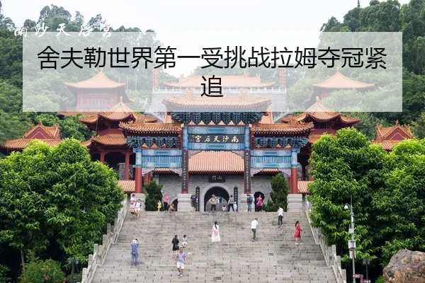 she-fu-lei-shi-jie-di-yi-shou-tiao-zhan-la-mu-duo-guan-jin-zhui-3-536.jpg