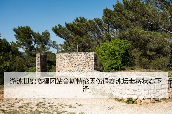 you-yong-shi-jin-sai-fu-gang-zhan-she-si-te-lun-yin-shang-tui-sai-yong-tan-lao-jiang-zhuang-tai-xia-hua-3-650.jpg