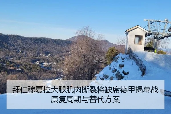 bai-ren-mu-xia-la-da-tui-ji-rou-si-lie-jiang-que-xi-de-jia-jie-mu-zhan-kang-fu-zhou-qi-yu-ti-dai-fang-an-2-596.jpg